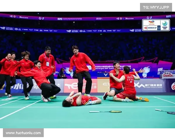 国际羽联赛事分类国际羽联团体赛