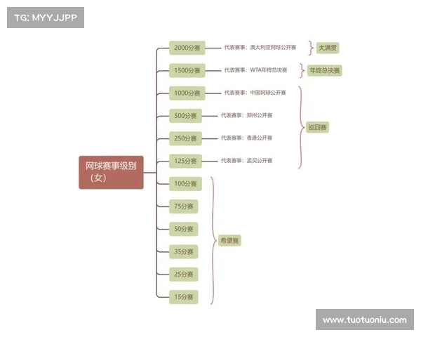 赛事解析 赛事解析